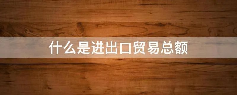 什么是进出口贸易总额