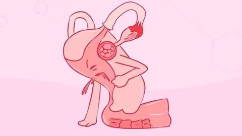 月经来了可以同房吗