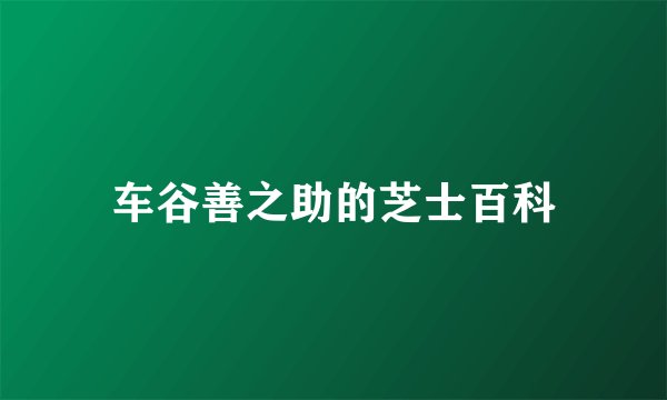车谷善之助的芝士百科