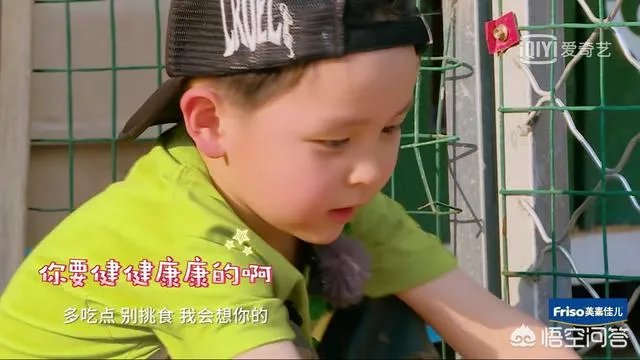 邓莎家的大麟子你们喜欢吗？