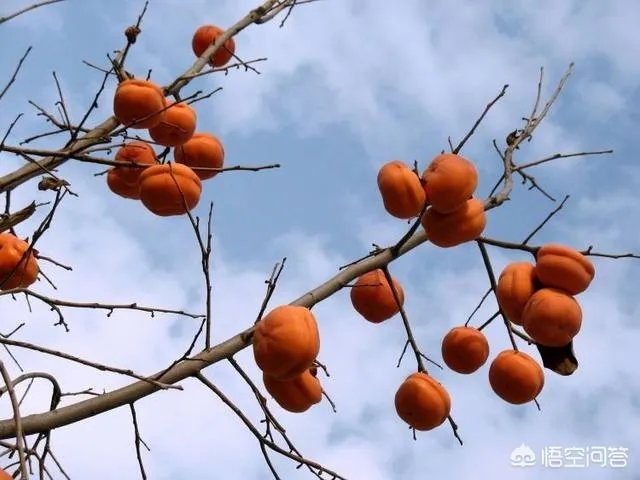 我在马路边捡到一分钱这首歌的最后一句的歌词是什么？