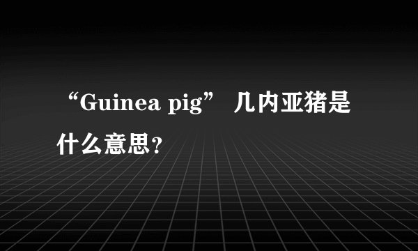 “Guinea pig” 几内亚猪是什么意思？