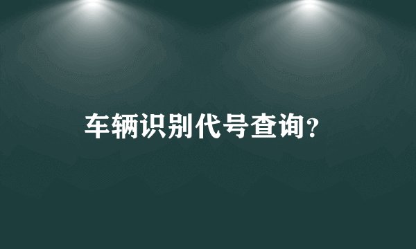 车辆识别代号查询？