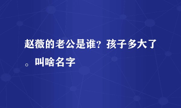 赵薇的老公是谁？孩子多大了。叫啥名字