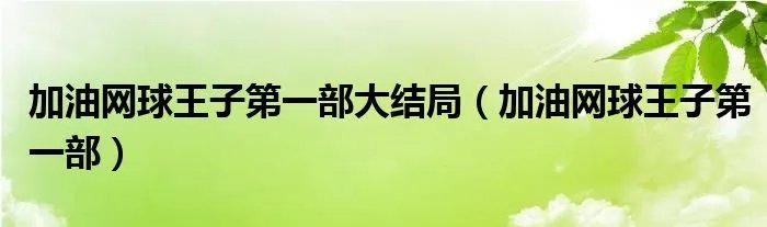 加油网球王子第一部大结局（加油网球王子第一部）