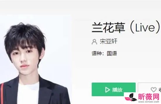 抖音此刻我独领风骚是什么歌 歌曲《兰花草》演唱者及歌词介绍