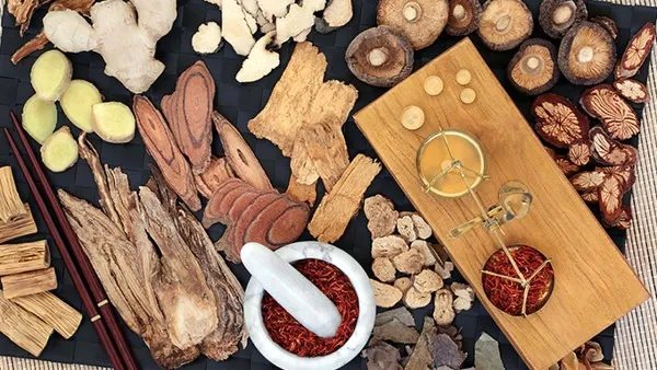 湿热体质吃什么药