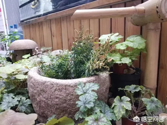 自驾游，你遇到过艳遇吗？哪里的景区才能遇到？