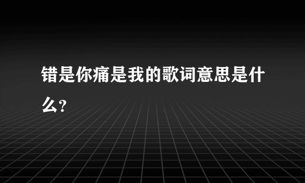 错是你痛是我的歌词意思是什么?