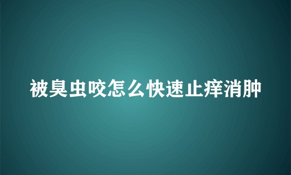 被臭虫咬怎么快速止痒消肿