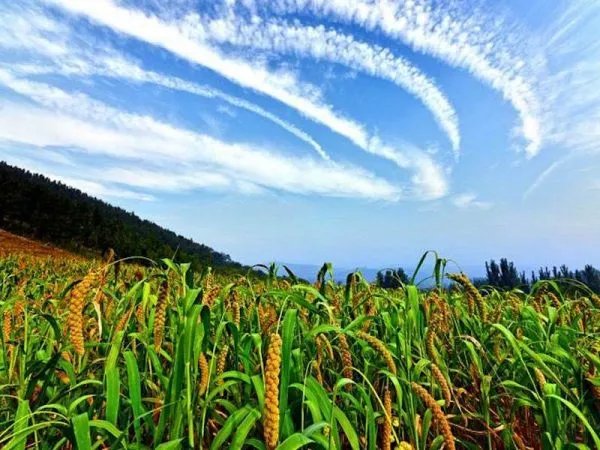 谁不说俺家乡好歌词是什么意思？