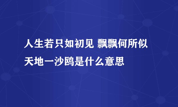人生若只如初见 飘飘何所似 天地一沙鸥是什么意思