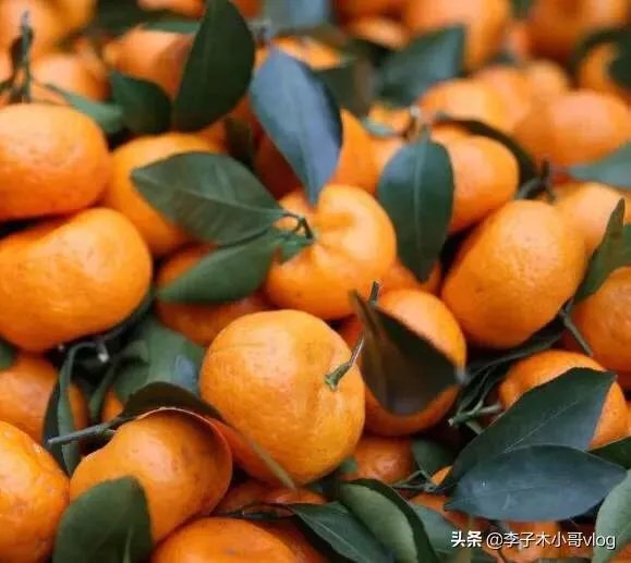 怎么样在网上卖沙糖桔，卖得多又卖得快？