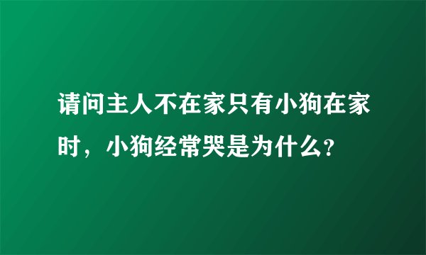 请问主人不在家只有小狗在家时，小狗经常哭是为什么？
