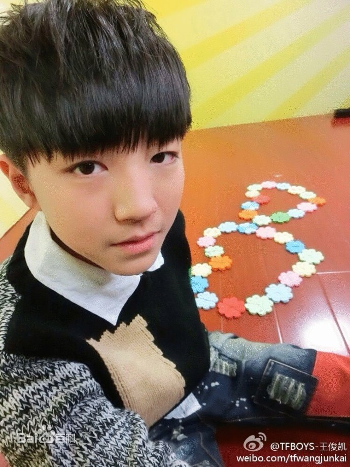 tfboys成员资料