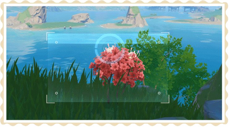 原神完美留影任务怎么做