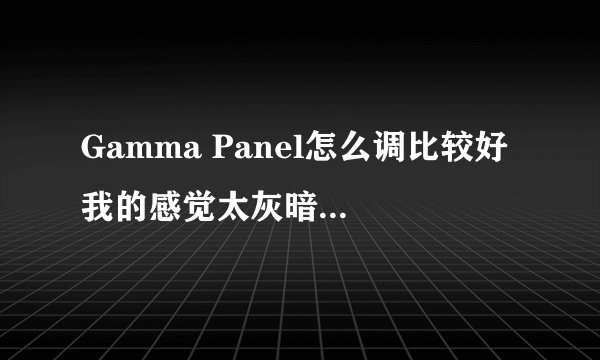Gamma Panel怎么调比较好 我的感觉太灰暗了，色彩不明亮