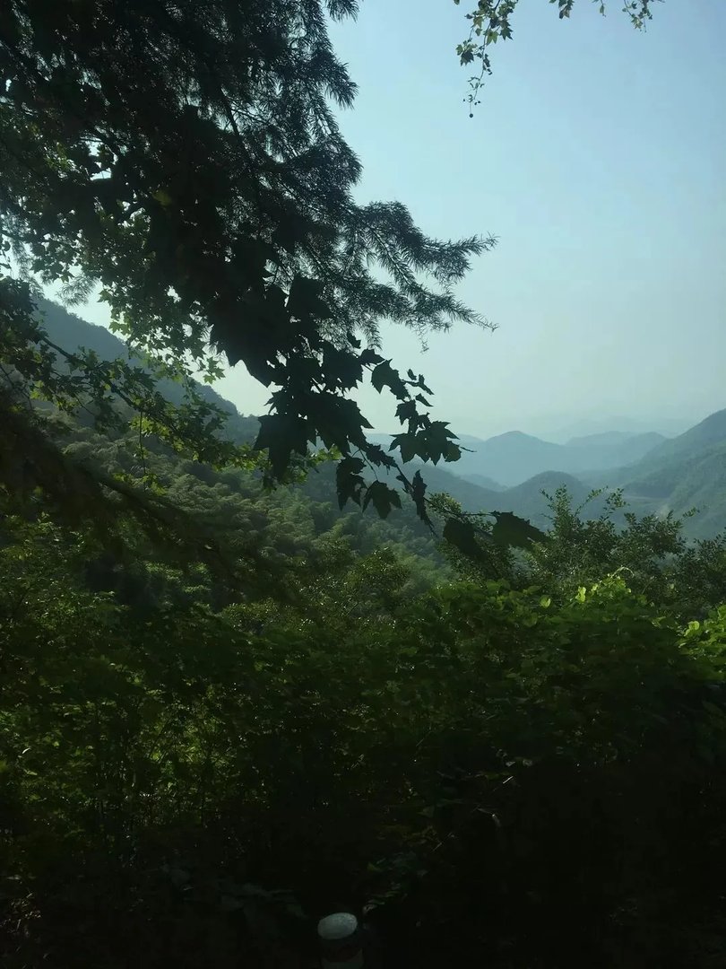 莫干山行,我们在一起!【易居空间装饰】