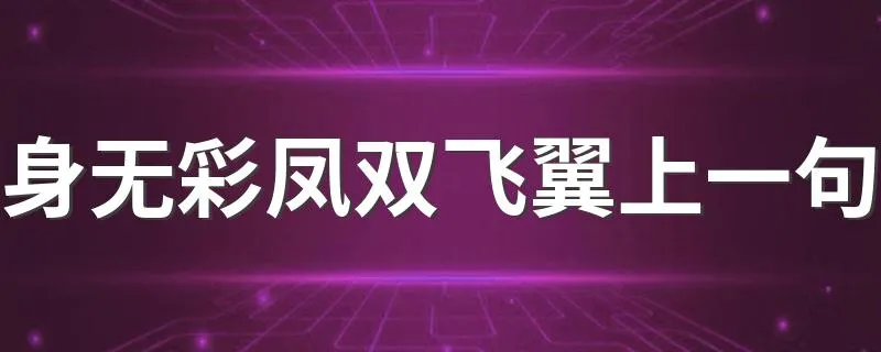 身无彩凤双飞翼上一句 这句话的意思及原文介绍