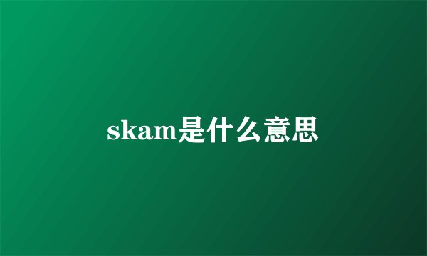 skam是什么意思