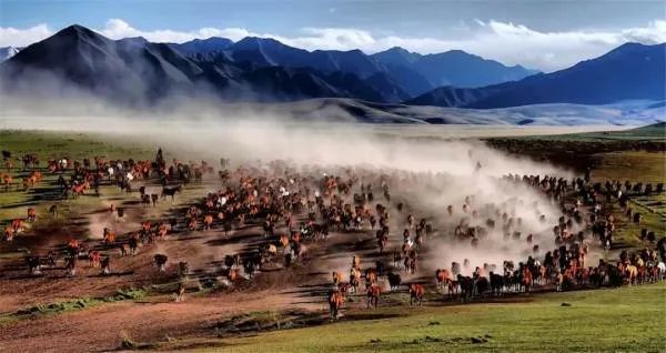 从兰州到敦煌自驾，沿途有哪些必去的景点