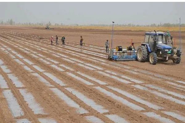 播种的拼音是什么