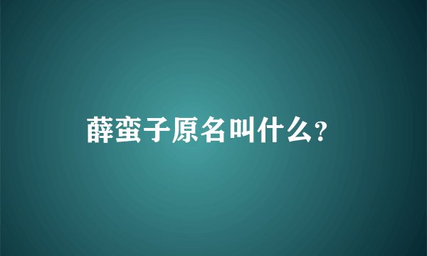 薛蛮子原名叫什么？