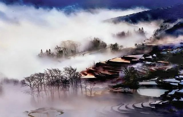 云南哈尼梯田的特点