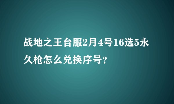 战地之王台服2月4号16选5永久枪怎么兑换序号？