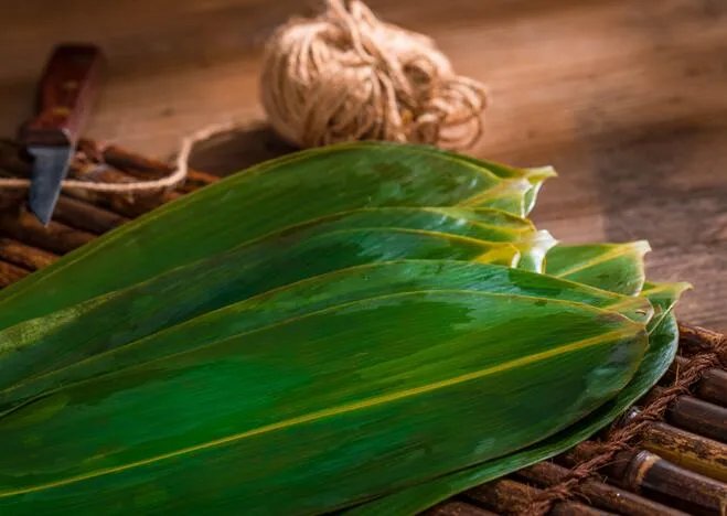 粽子皮是什么叶子 包粽子用的那个叶子叫什么