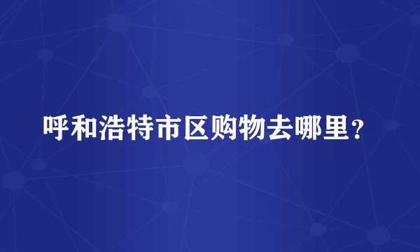 呼和浩特市区购物去哪里？
