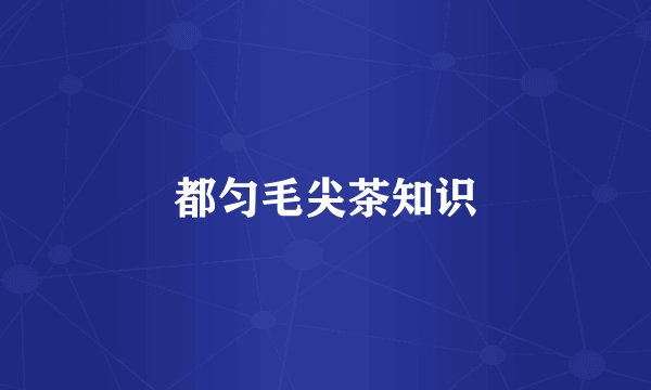 都匀毛尖茶知识