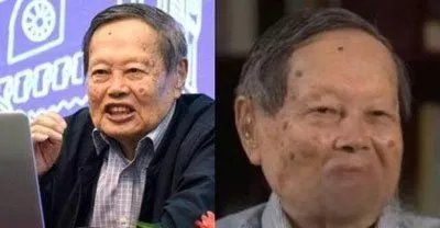 翁帆个人生理需求怎么解决 为杨振宁产下一子是真的吗