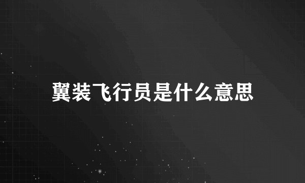 翼装飞行员是什么意思