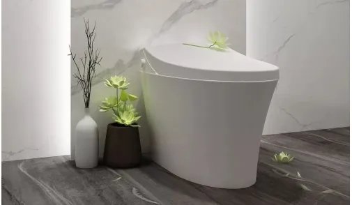 为了PP，一定要看的科勒马桶选购指南！