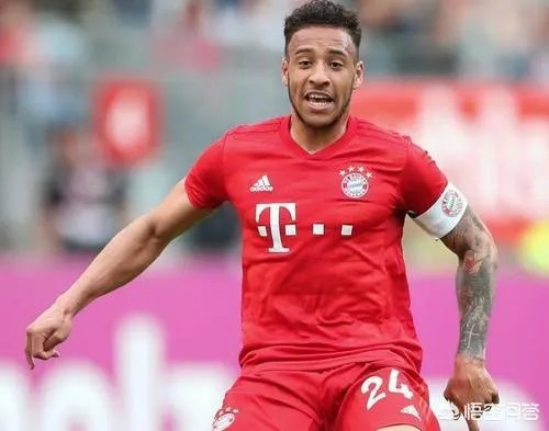 拜仁与霍芬海姆前锋西布签约3年，为什么德甲成拜仁后花园？