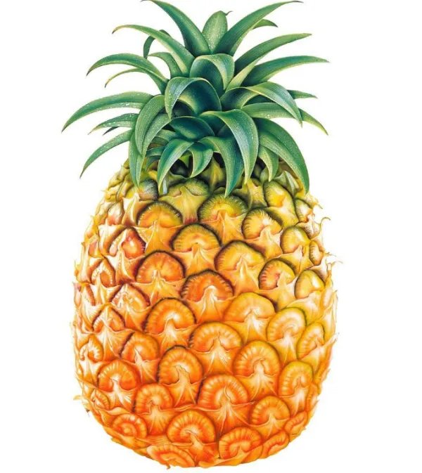 “菠萝”的拼音是什么？