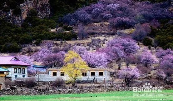 国内蜜月旅行去哪里？十大最佳蜜月旅行推荐