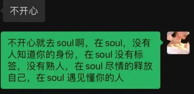 不开心你就去soul是什么意思