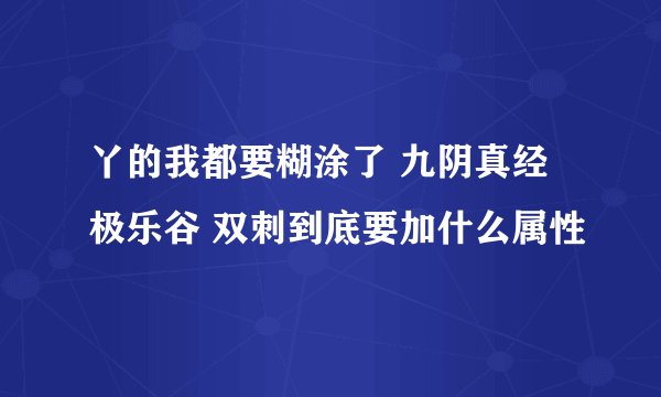 丫的我都要糊涂了 九阴真经极乐谷 双刺到底要加什么属性