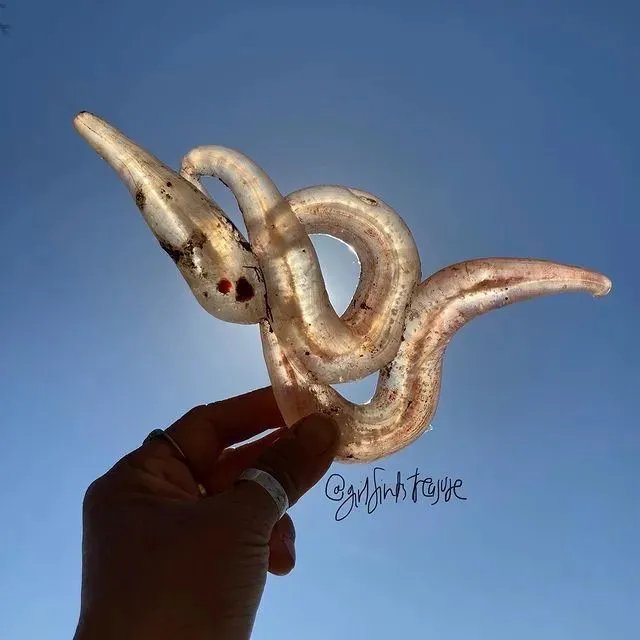 捡垃圾没出息？他在凌晨3点做了一生中最有意义的事情