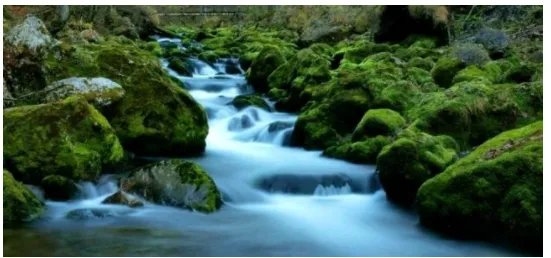 活水是什么意思？