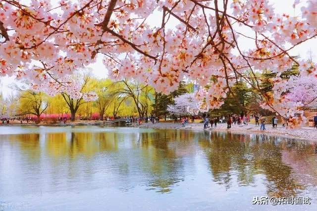 山东会考难吗，平常我考20.30能过会考吗？