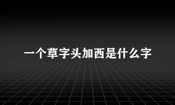一个草字头加西是什么字