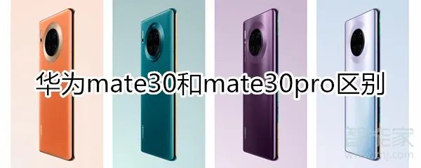mate30 mate30pro区别