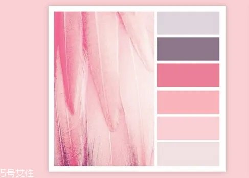 藕荷色是什么颜色 藕荷色搭配颜色