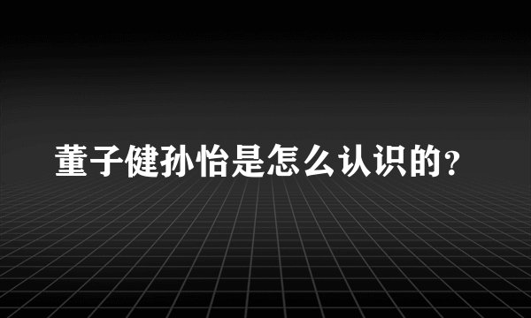 董子健孙怡是怎么认识的？