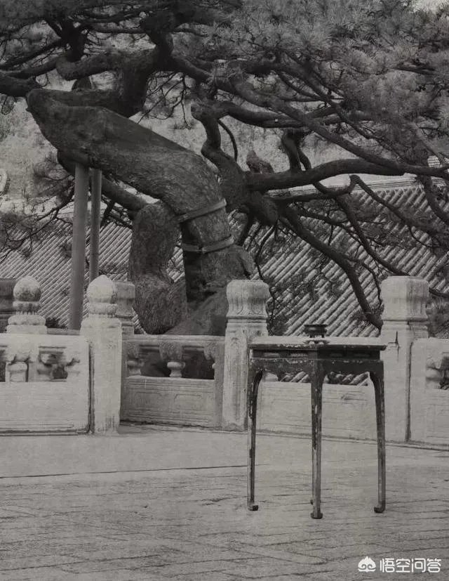 你还知道中国的其他传统艺术吗？请围绕什么真什么啊？写一段话，注意运用恰当的修辞手法，50字。