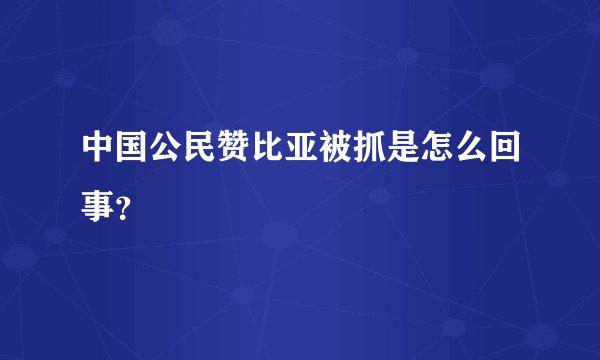 中国公民赞比亚被抓是怎么回事？
