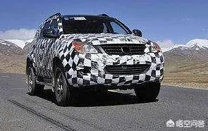 什么是跛行回家试验？